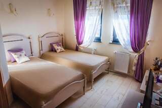 Гостевой дом Pensiunea Agroturistica Floare de Camp Сучава Двухместный номер с 2 отдельными кроватями и собственной ванной комнатой-7