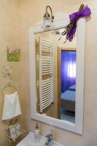 Гостевой дом Pensiunea Agroturistica Floare de Camp Сучава Двухместный номер с 2 отдельными кроватями и собственной ванной комнатой-10